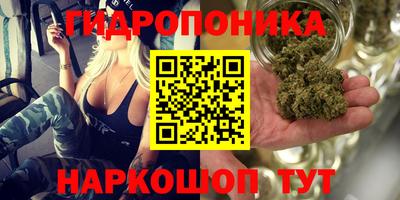 mix Новодвинск