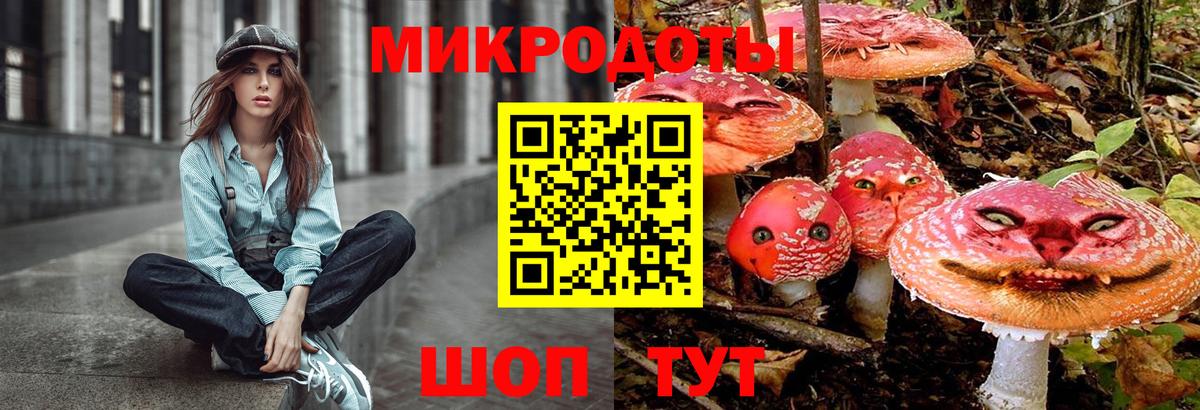 Озёры  Галлюциногенные грибы прущие грибы  Вход с VPN 